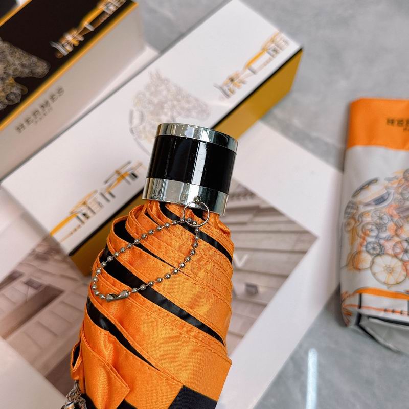 Hermes Umbrella (251)