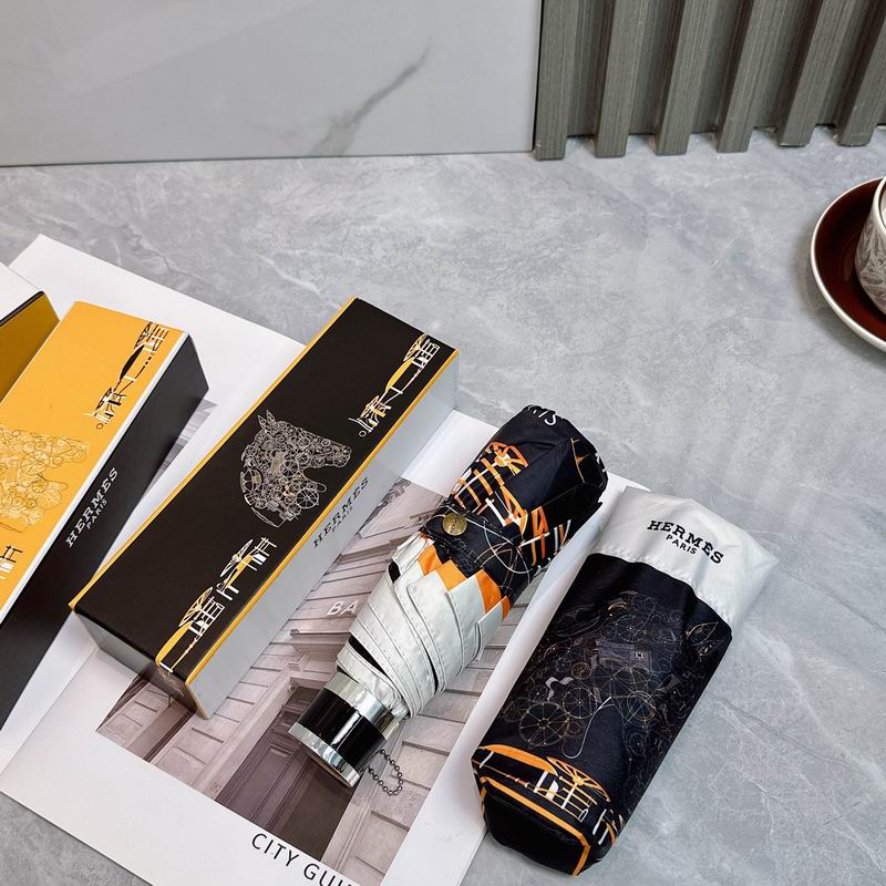 Hermes Umbrella (256)
