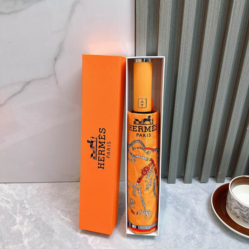 Hermes Umbrella (27)