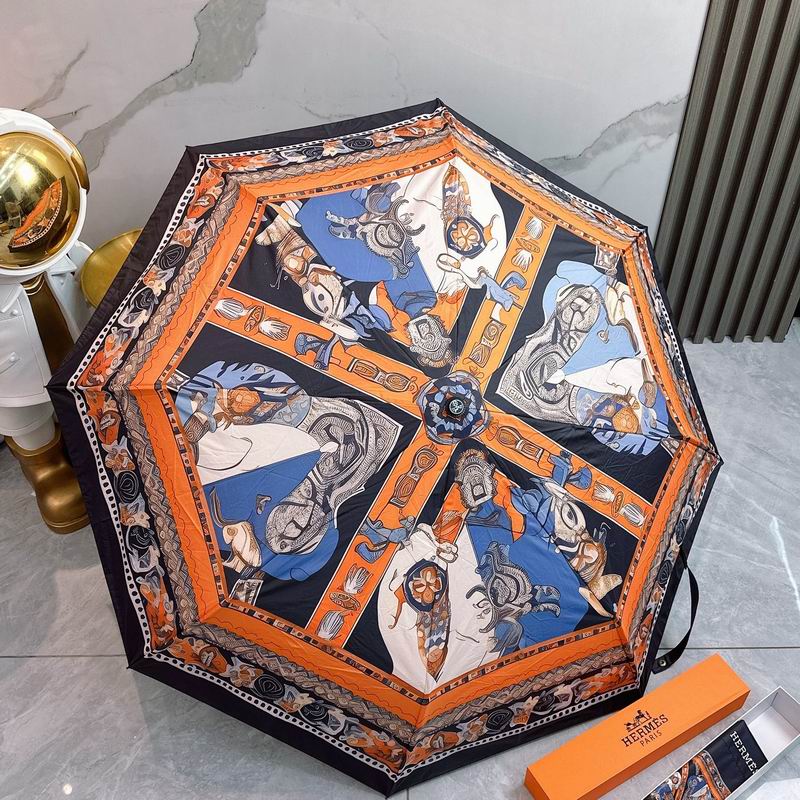 Hermes Umbrella (28)