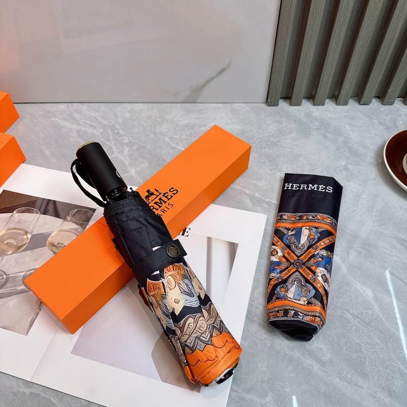 Hermes Umbrella (29)