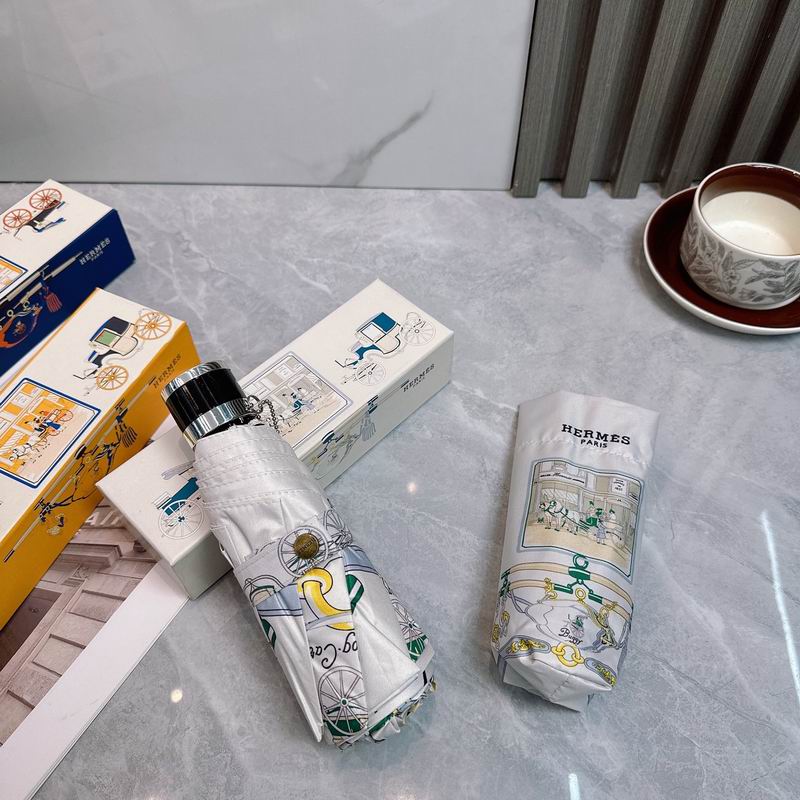 Hermes Umbrella (299)