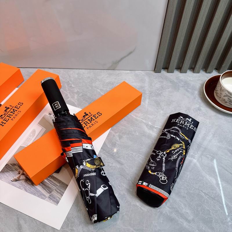 Hermes Umbrella (3)