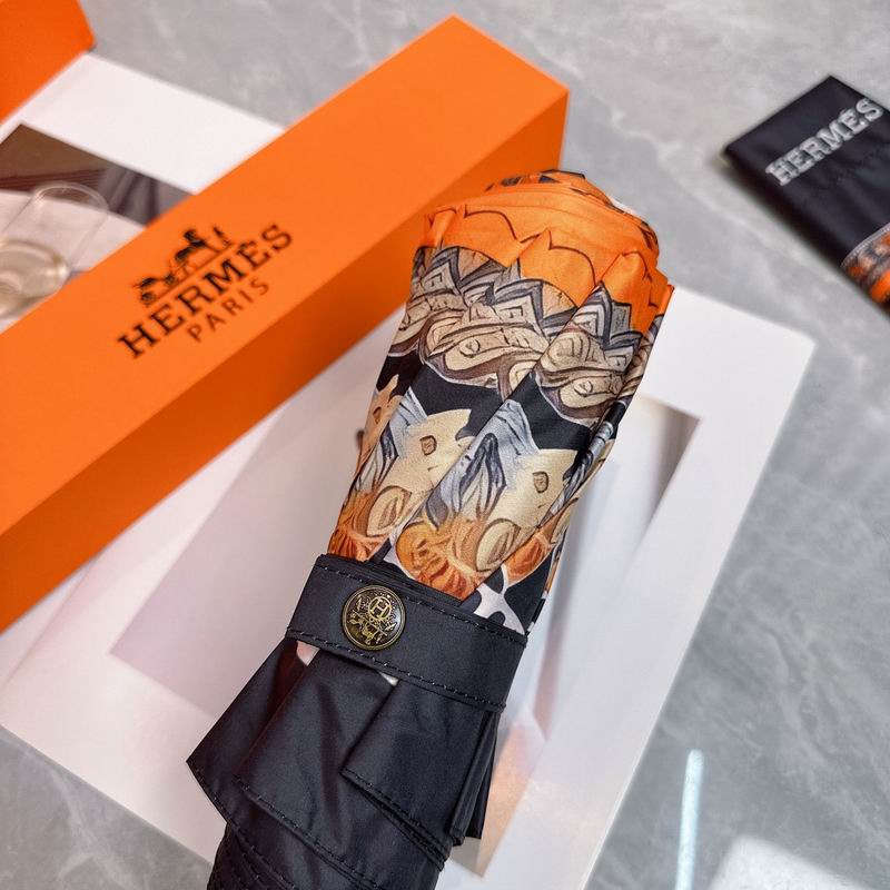 Hermes Umbrella (30)