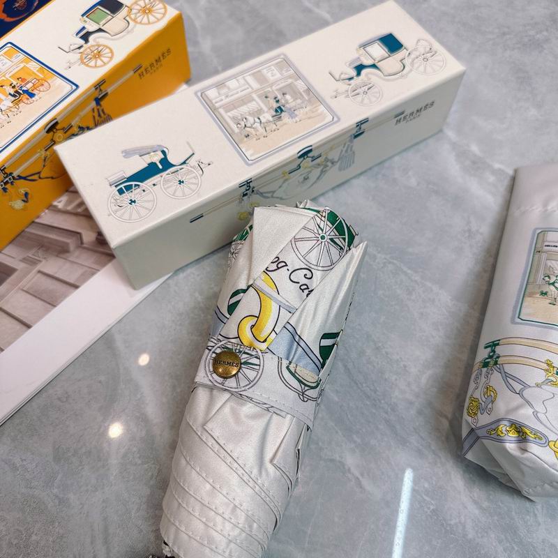 Hermes Umbrella (300)