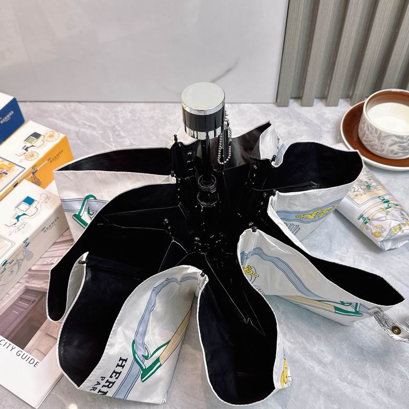 Hermes Umbrella (302)