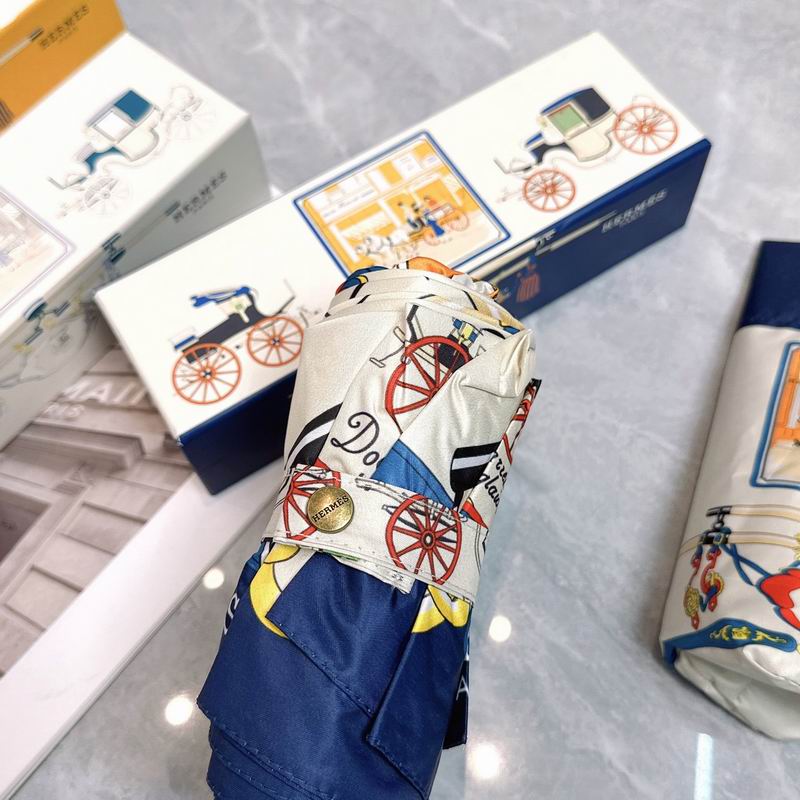 Hermes Umbrella (309)