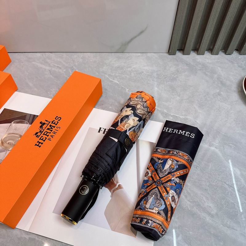 Hermes Umbrella (31)