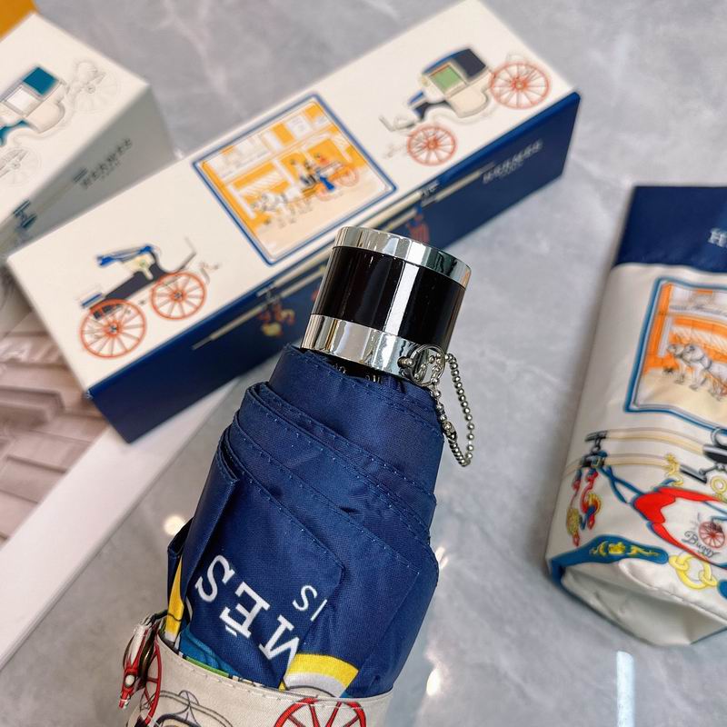 Hermes Umbrella (314)