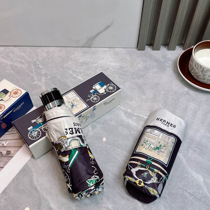 Hermes Umbrella (317)