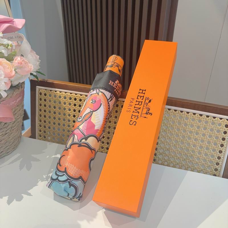 Hermes Umbrella (317)