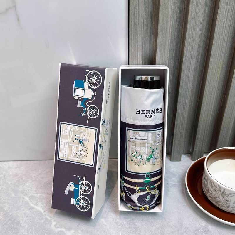 Hermes Umbrella (324)