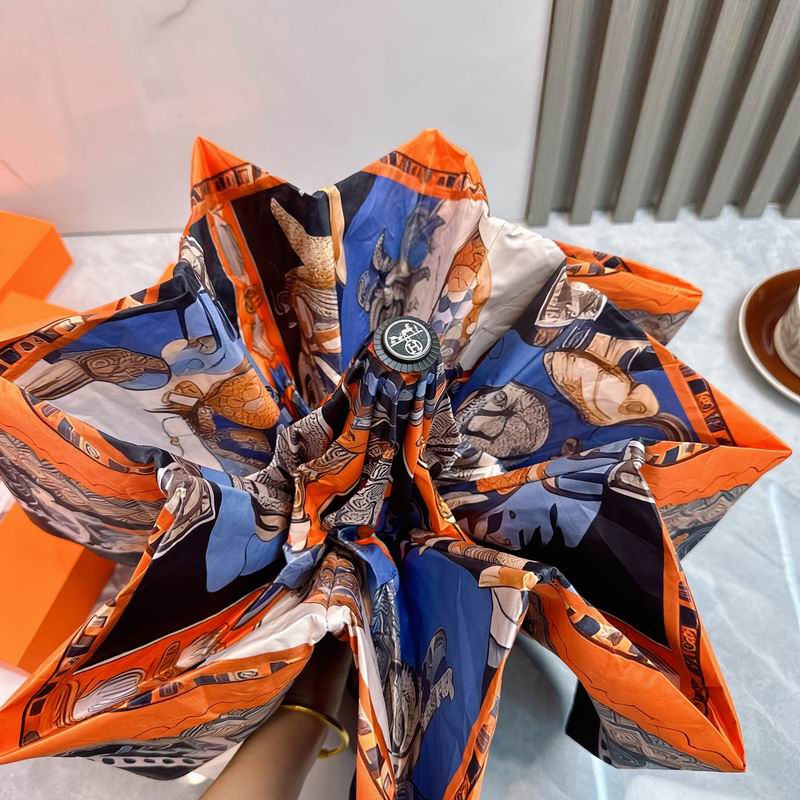 Hermes Umbrella (33)