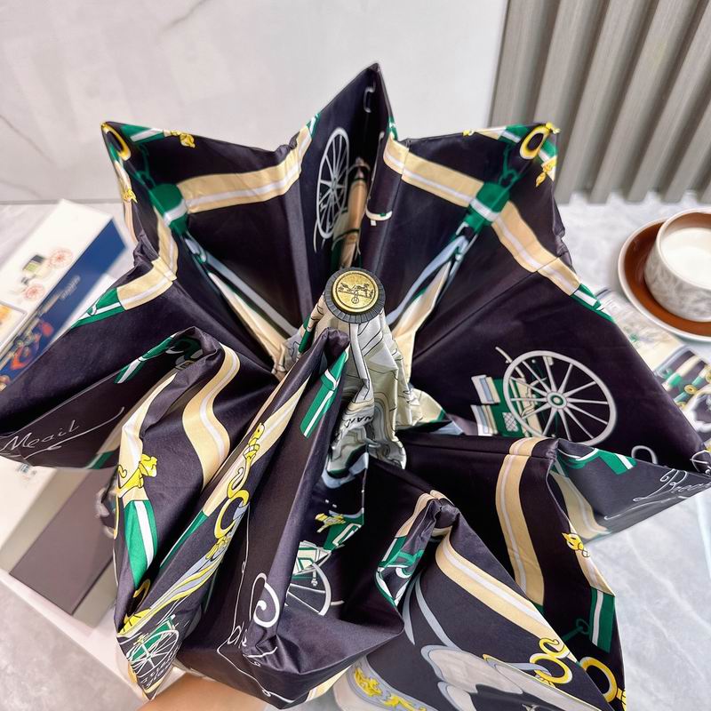 Hermes Umbrella (339)