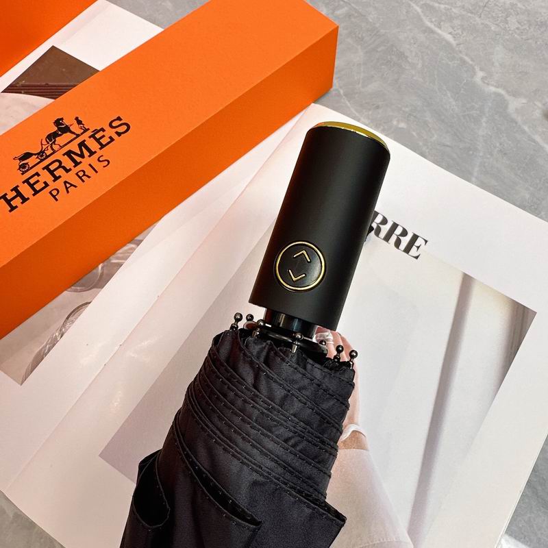 Hermes Umbrella (35)