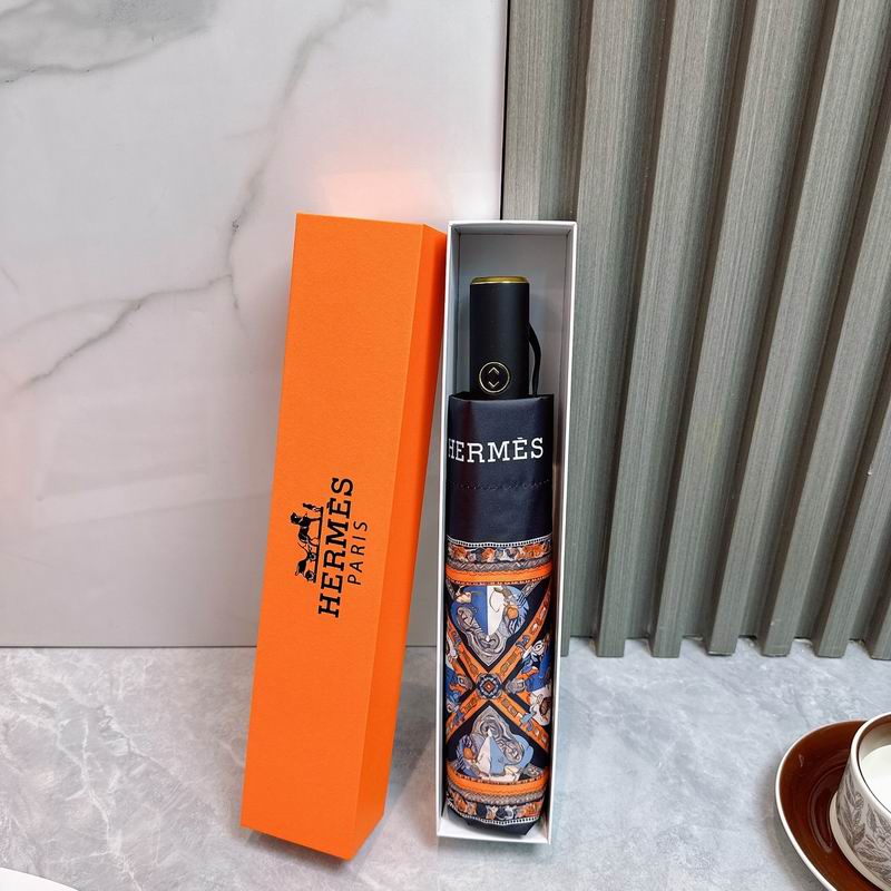 Hermes Umbrella (36)