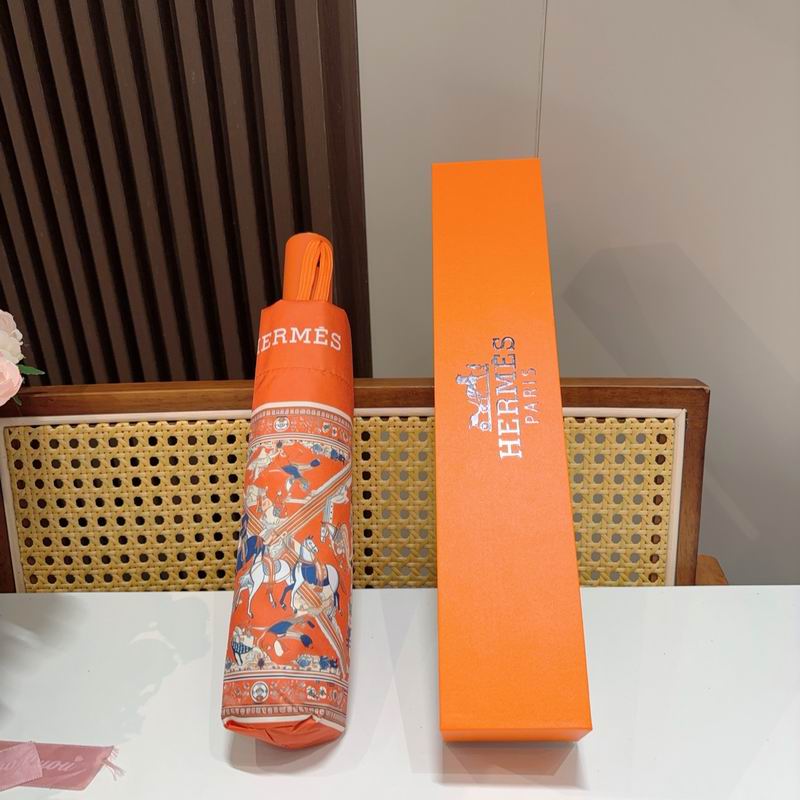 Hermes Umbrella (361)