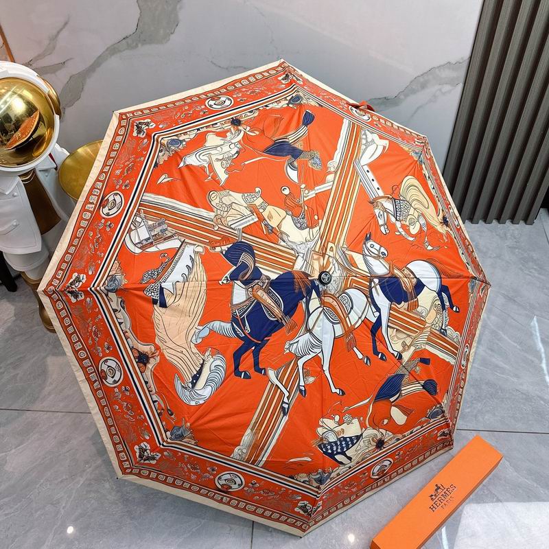 Hermes Umbrella (37)
