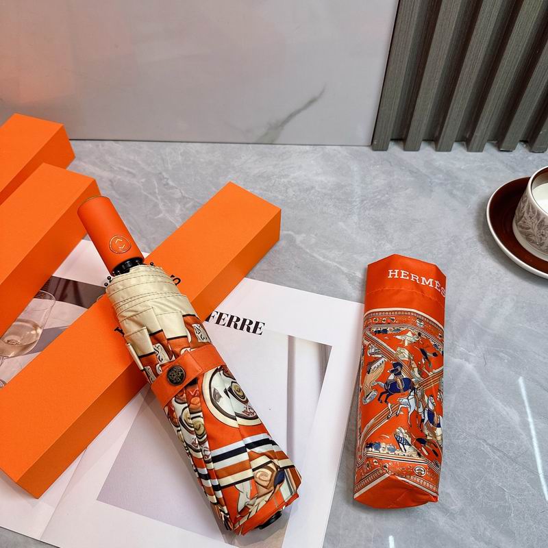 Hermes Umbrella (39)