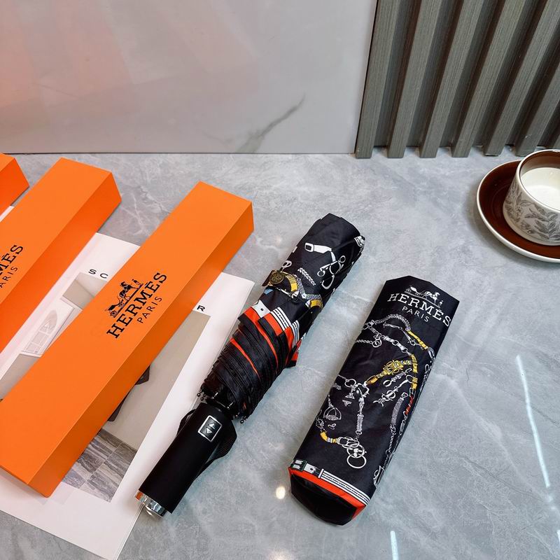 Hermes Umbrella (4)