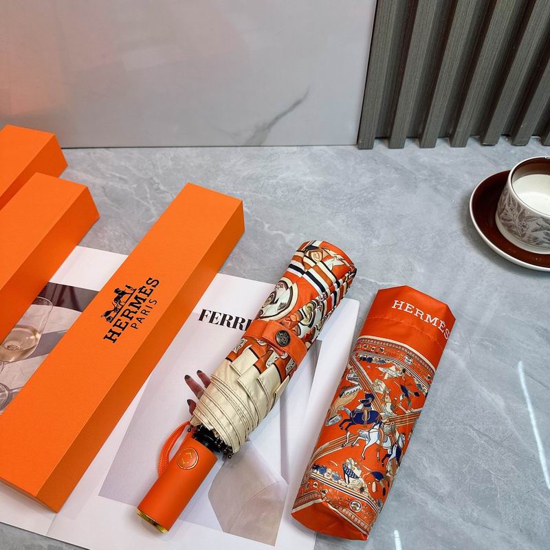 Hermes Umbrella (40)
