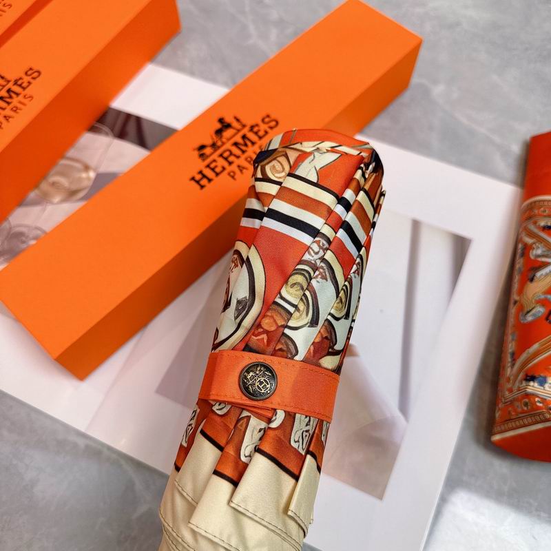 Hermes Umbrella (43)