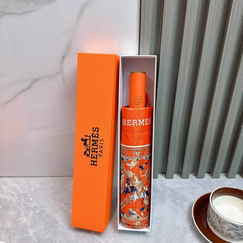 Hermes Umbrella (45)