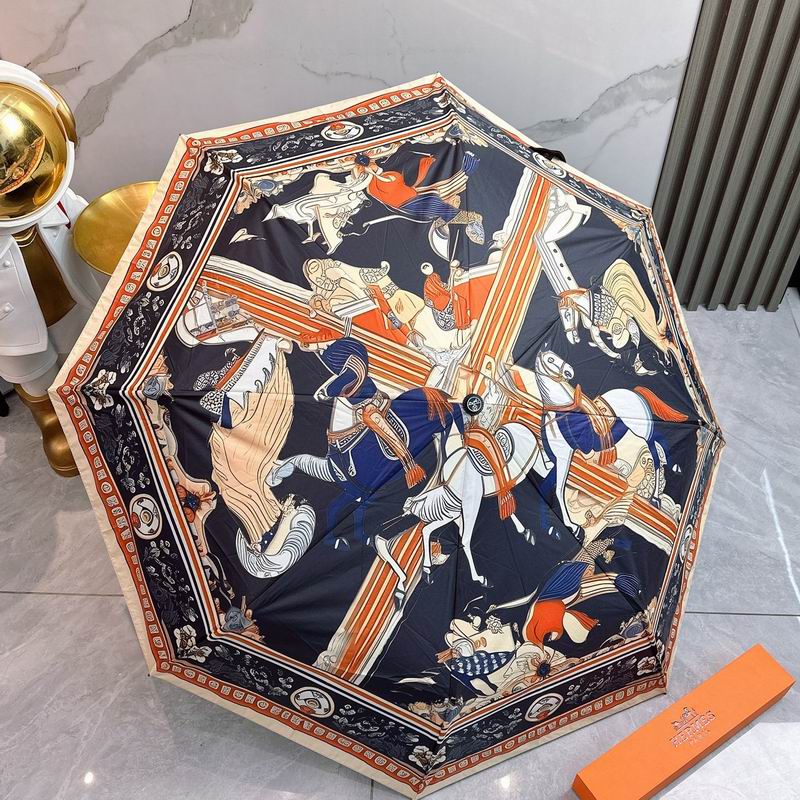 Hermes Umbrella (46)