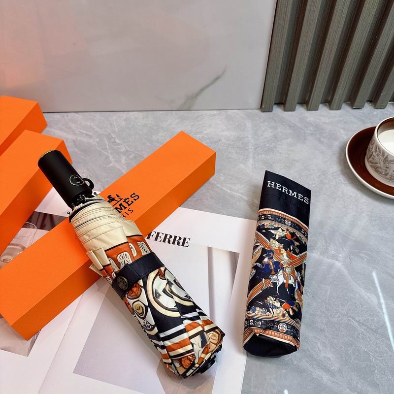 Hermes Umbrella (47)