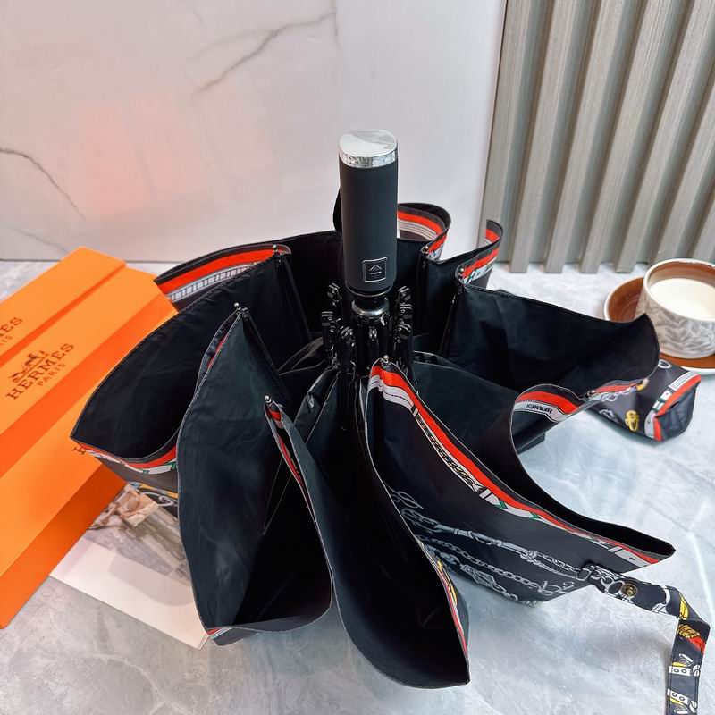 Hermes Umbrella (5)