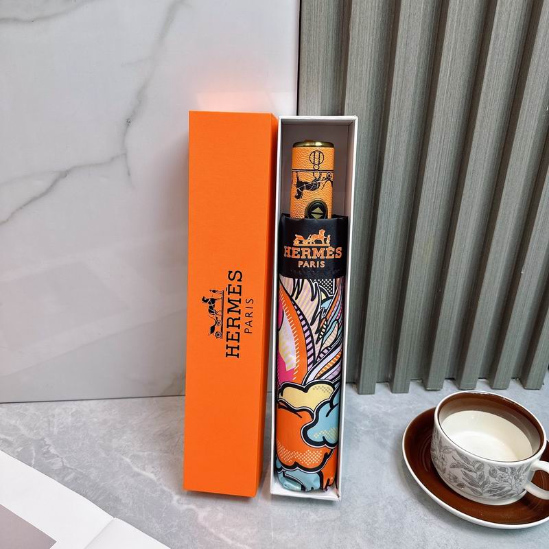 Hermes Umbrella (531)