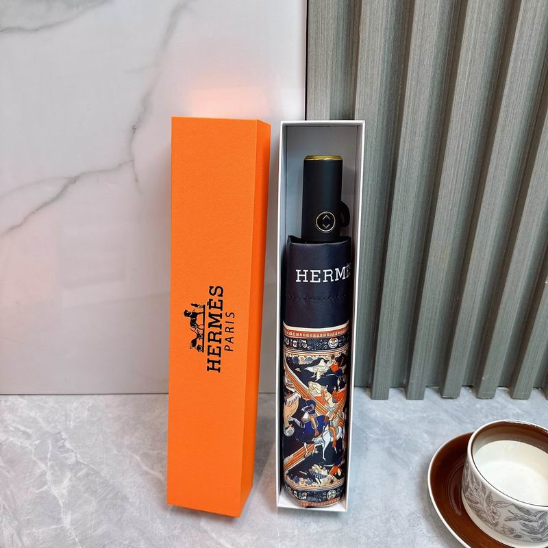 Hermes Umbrella (54)
