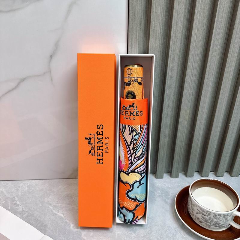 Hermes Umbrella (540)