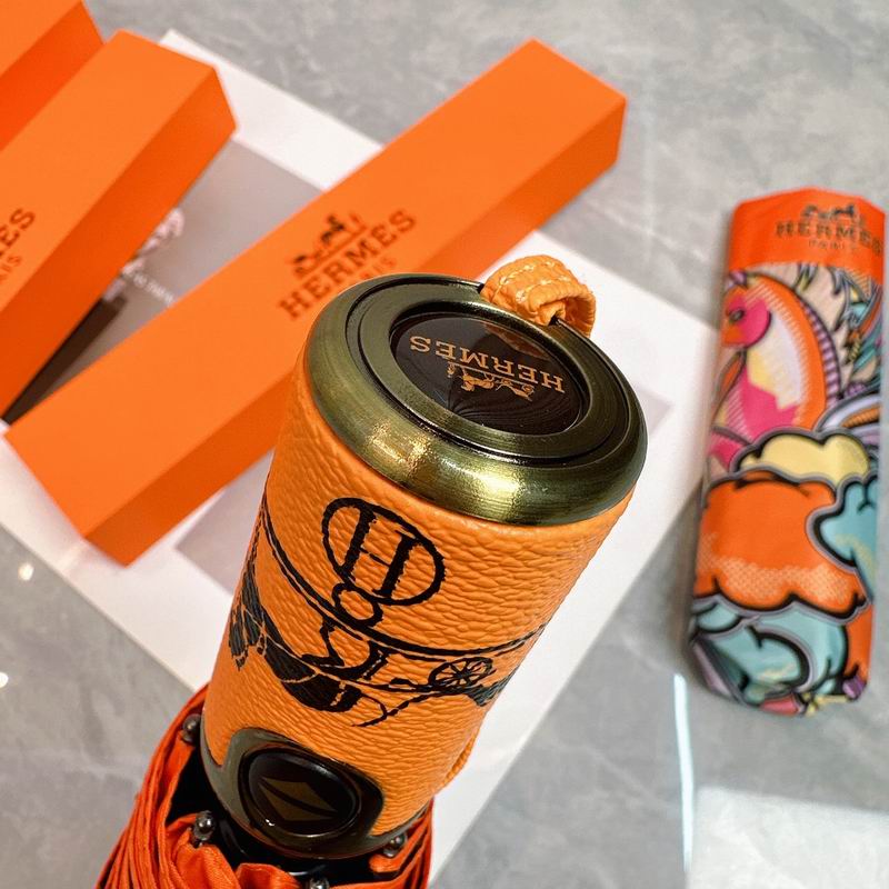 Hermes Umbrella (541)