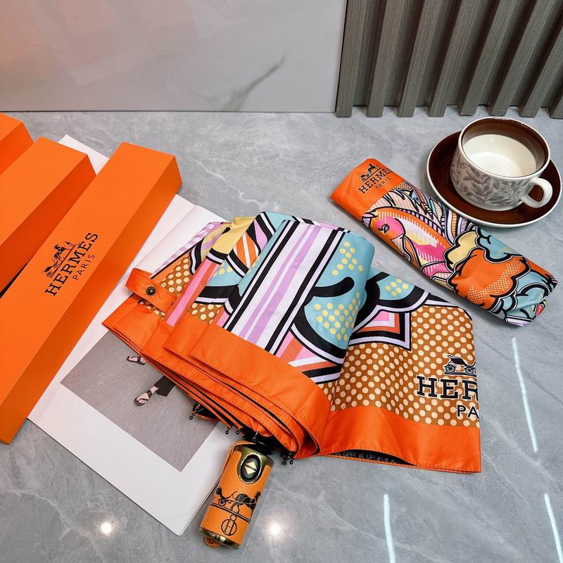 Hermes Umbrella (542)