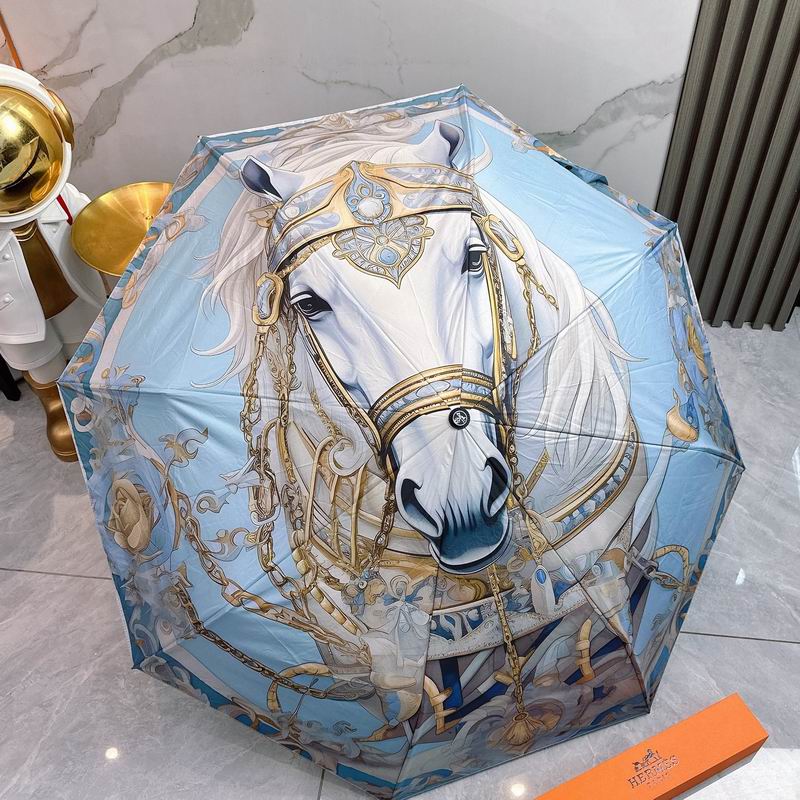 Hermes Umbrella (55)