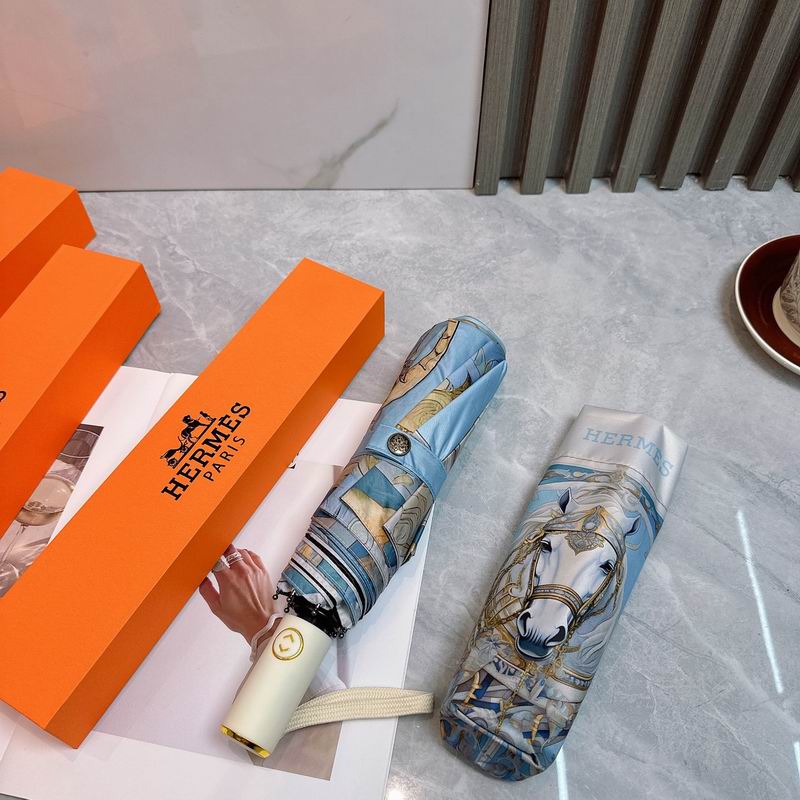Hermes Umbrella (56)