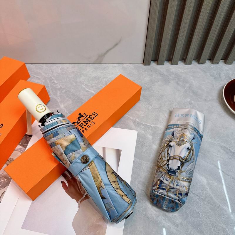 Hermes Umbrella (57)