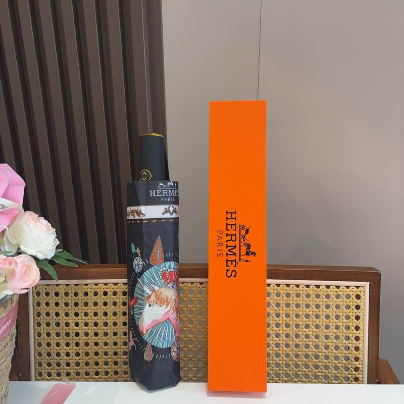 Hermes Umbrella (593)