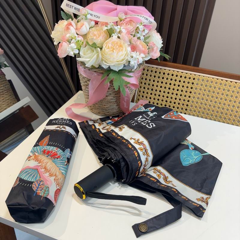 Hermes Umbrella (598)