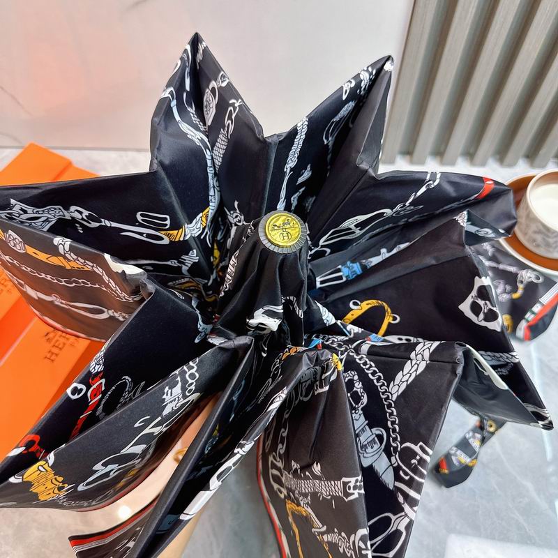 Hermes Umbrella (6)