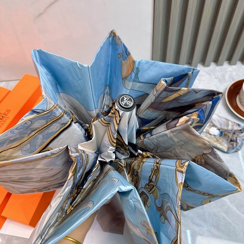 Hermes Umbrella (60)