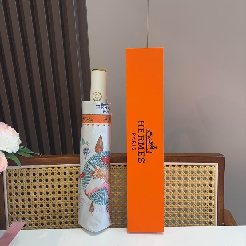 Hermes Umbrella (602)