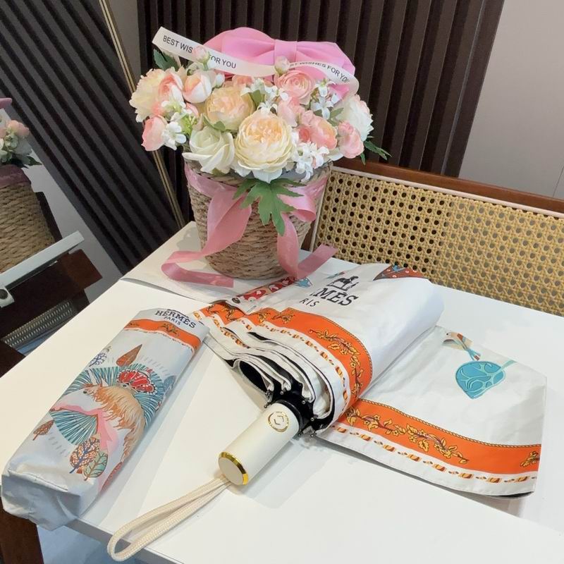 Hermes Umbrella (607)