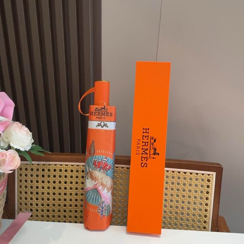Hermes Umbrella (612)