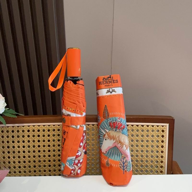 Hermes Umbrella (613)