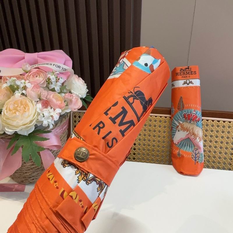 Hermes Umbrella (614)