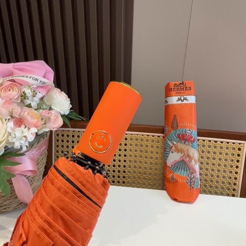 Hermes Umbrella (615)