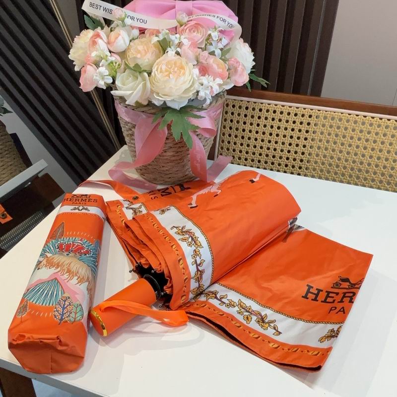 Hermes Umbrella (616)
