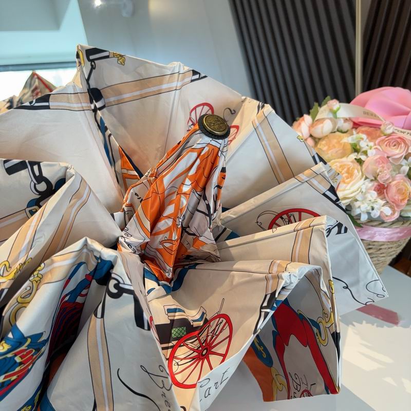 Hermes Umbrella (624)